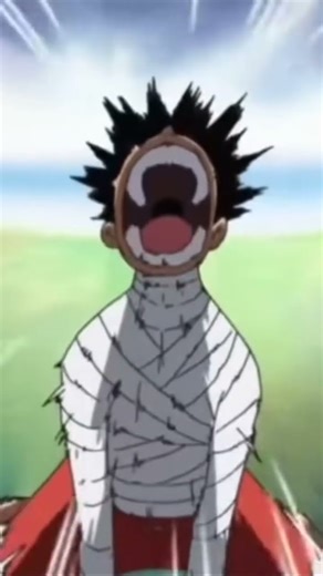 Luffy screaming 🤨