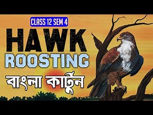 Hawk Roosting Animated Summary in Bengali || Ted Hughes || Class 12 Sem 4