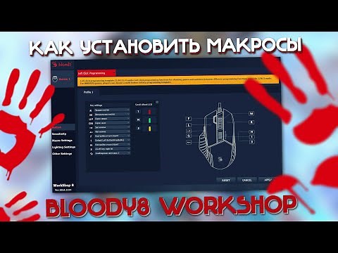 Макросы на Bloody \\ Блади 8 Workshop. Как установить?