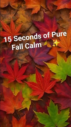 Autumn Relaxing Music 🍁 Fall Leaves Forest Loop | 4K Nature • Free to Use