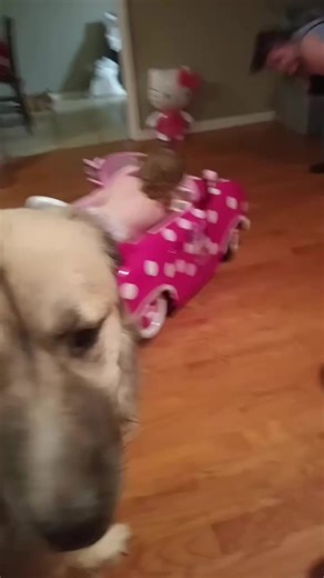 Duchess of The View (@pennalla.evans)’s videos with Tiny Troublemaker - Calum Upton