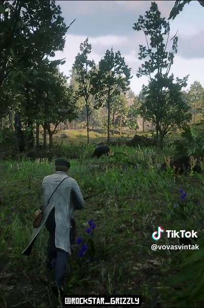 Best Black Bear Location in RDR 2