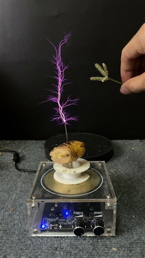 Tesla coil testing #experiment #teslacoil #shorts