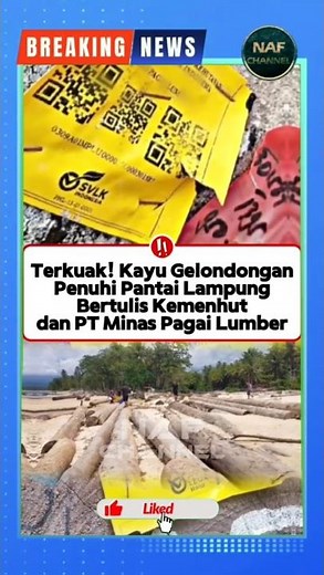 Kayu Gelondongan bertulis Kemenhut & berScan Barcode #lampung #kemenhut #kayugelondongan #perhutani