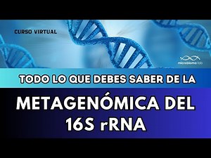 🧬🧬🧬CURSO de METAGENÓMICA del 16S rRNA virtual 🧬🧬🧬 Aprende a hacer una librería de METABARCODING