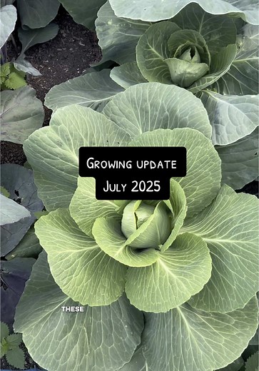 GardenGrowing on TikTok