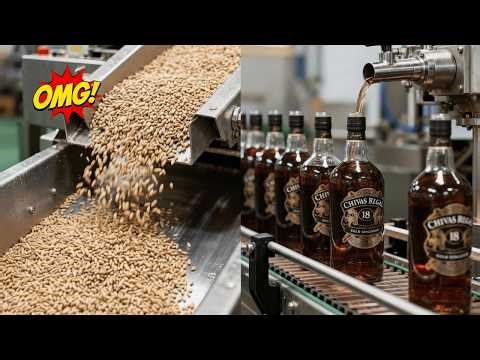 The distillation process at Chivas Regal, where millions of bottles of whisky are produced every day