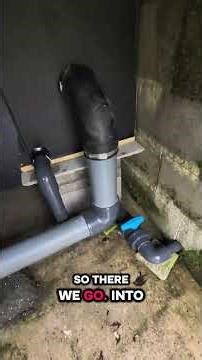 Crystal Clear Pond Transformation! 😱