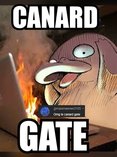 LE CANARD GATE RESOLU ! Je lâche jamais la recherche d’une fusion 💪💪💪 tout pour vous ! #pokemon #fusion #fangame #poulet #canard