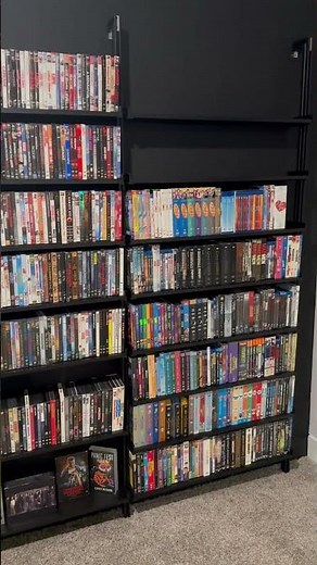Modern Shelving DVD Set up