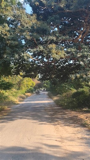 original sound - Ko Yan ပါဝင်သည့် Ye Baw Jack 🦚MPDF (@ngjack18) ၏ ဗီဒီယိုများ