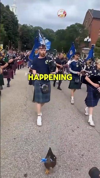 Scotland Put Cones On Every Boston Statue And It's A War With Mexico's Duck Now #worldcup2026