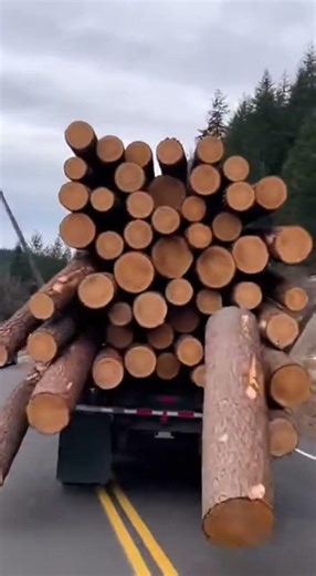Log Truck Loses Its Load on Oregon Highway — Timber Explodes Across the Road #crash #semitruck #cctv