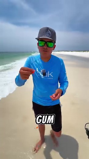 32K views · 1.1K reactions | This is the BEST Rig for Fishing at the Beach!! I love using this rig at the beach to catch all sorts of fish! Not only can this rig help you catch smaller tasty fish but it can also pull in some big fish aswell #Fishing #HowTo #Tutorial #Baits #Saltwater #FishingLife #Rig #Beach | GG Anglers | Facebook