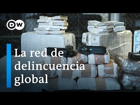 Is it possible to dismantle global criminal networks? | DW Documentary