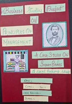 🎯 Principles of Management | Class 12 Business Studies Project File 2025 | Complete CBSE A+ Ready ✅