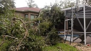 If a tree falls, who is responsible? - The Oberman Companies