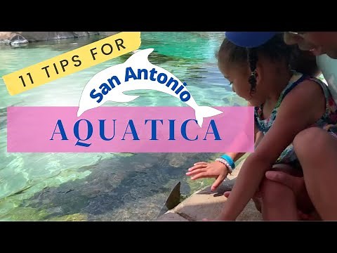San Antonio Aquatica: 11 Tips for Visiting with Kids