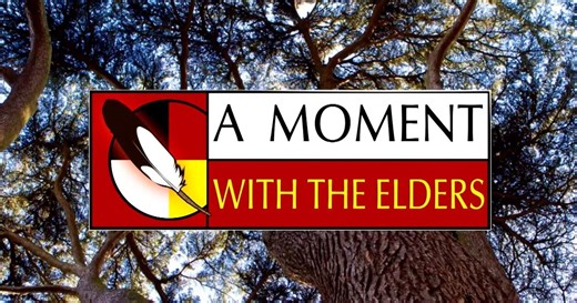 Minnesota First Nations:A Moment with the Elders: Brenda Child