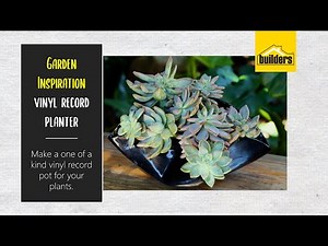 How to Make a Vinyl Record Planter