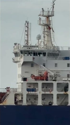 Oil ship or container ship Main difference Kya hota Hai 😊🚢 #ship #explore #trend #duet #metapro #oil