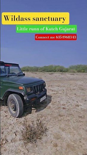“Little Rann of Kutch Safari | Wild Ass Sanctuary Full Tour”