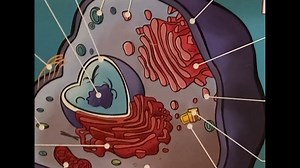 Watch Science Posters for Classroom Decoration, DNA Photosynthesis on Amazon Live