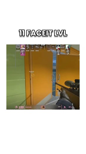 11 faceit lvl #funny #cs2
