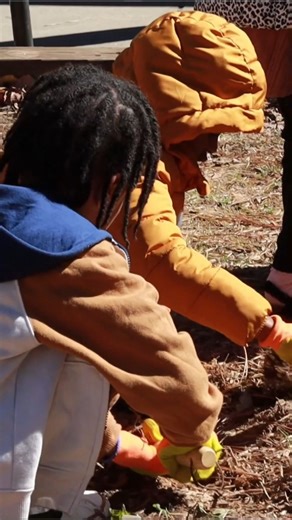 1.7K views · 70 reactions | The students of Peachtree Elementary are the new stewards of this native plant garden, thanks to a gift from Colonial Pipeline  | Birds Georgia | Facebook