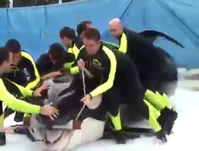 25K views · 360 reactions | KETO È MORTO. DOPO UNA VITA DA SCHIAVO....