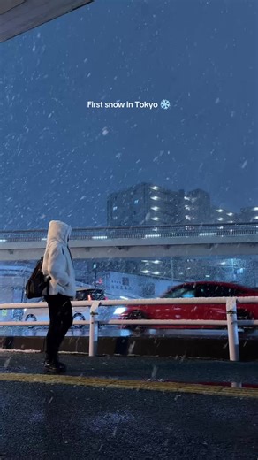 Experiencing the First Snow in Tokyo