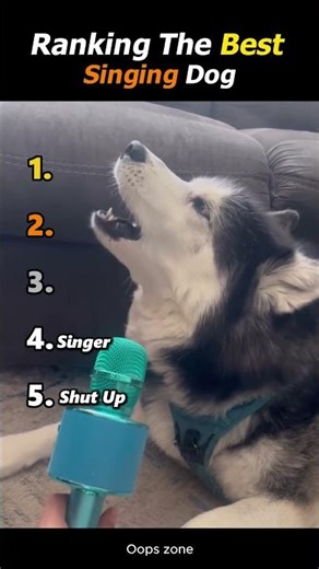 Ranking The Funniest Singing Dogs Who Think They’re Rockstars 🐾🎤