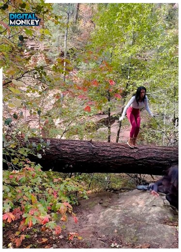 904K views · 5.2K reactions | Fail Parade: When Things Go South! | DigitalMonkey | Facebook