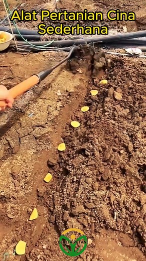 Alat Pertanian Cina Unik #pertanian #Cina #virals #reelfacebook #petaniindonesia | Berita Petani