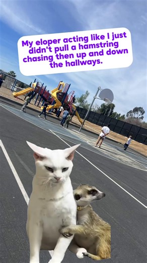 Effective Behavior Management Strategies for Paraprofessionals