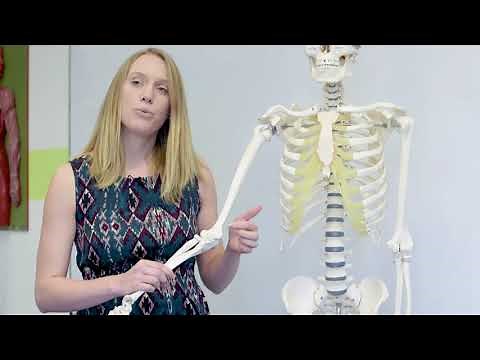 What is your funny bone?