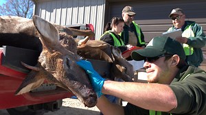 What's up with Christian County CWD deer zone?