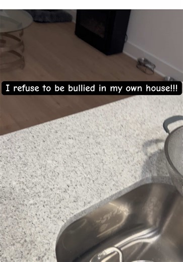 What does this mean???? #dogmom #schnoodle