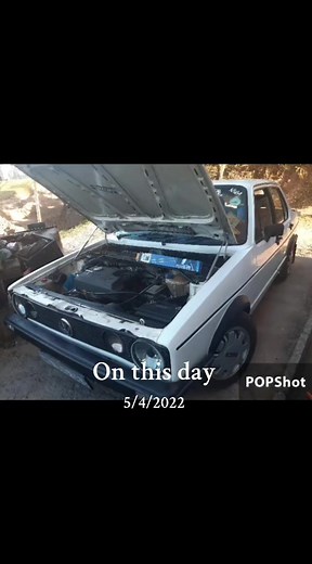 foxy fox wen it was original factor white