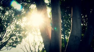 It happened in broad daylight, right under the noses of the cops… Dateline Weekend Mystery tonight at 9/8c. | Dateline NBC