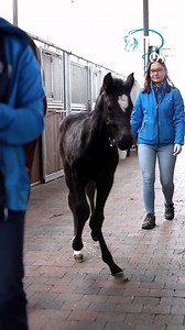 534K views · 4.5K reactions |  Déformation angulaire chez un jeune...