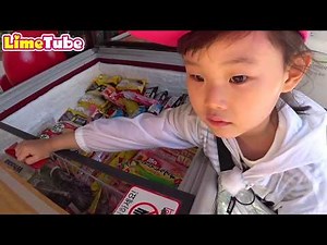 캐딜락 자동차 타고 아이스크림 마트 장보기 후 놀이터에서 신나는 잡기놀이~! LimeTube & Toy 라임튜브