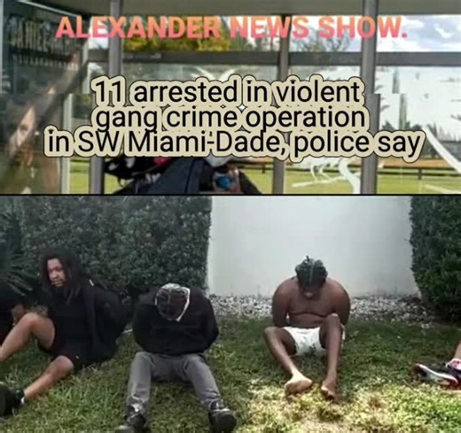 17 reactions | 11 arrested in violent gang crime operation in SW...