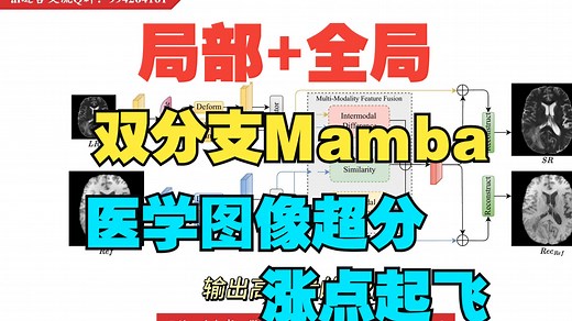 （Arxiv2025）局部➕全局双分支mamba医疗图像超分辨率，涨点起飞