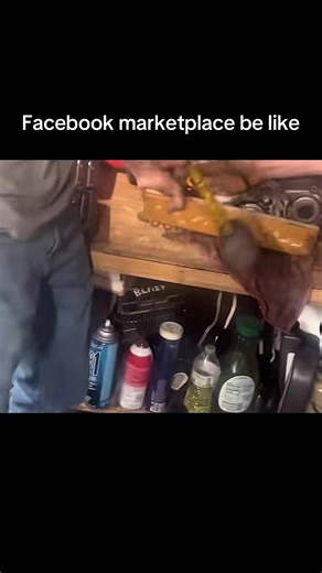 Kg Powersports on TikTok