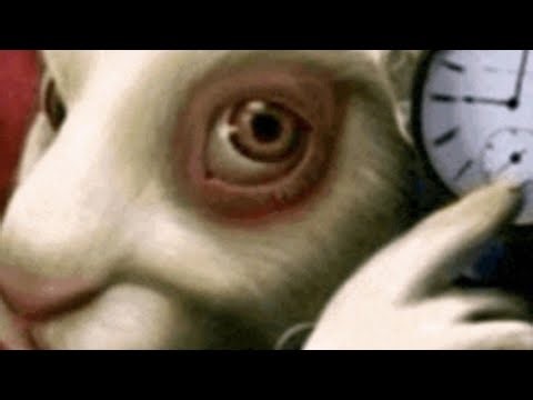 beating dog watching!