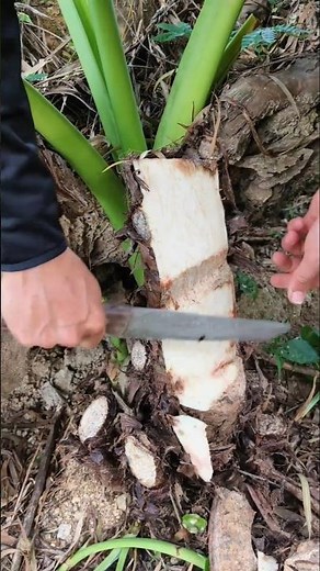 Farmer Facts 🤯 | Amazing Facts About Farmers & Agriculture”