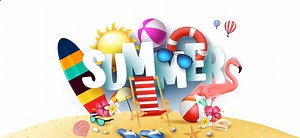 Online Summer School