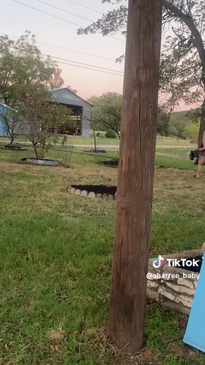 Encounter with a Startled Buck