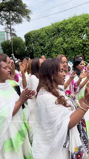 Habesha Weddings by Elegance on TikTok